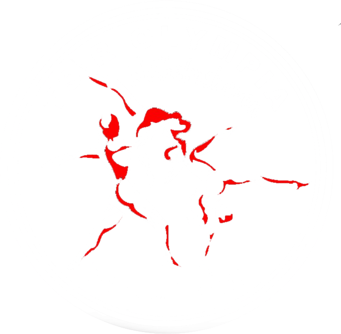 Showteam TSR Wilhelmshaven